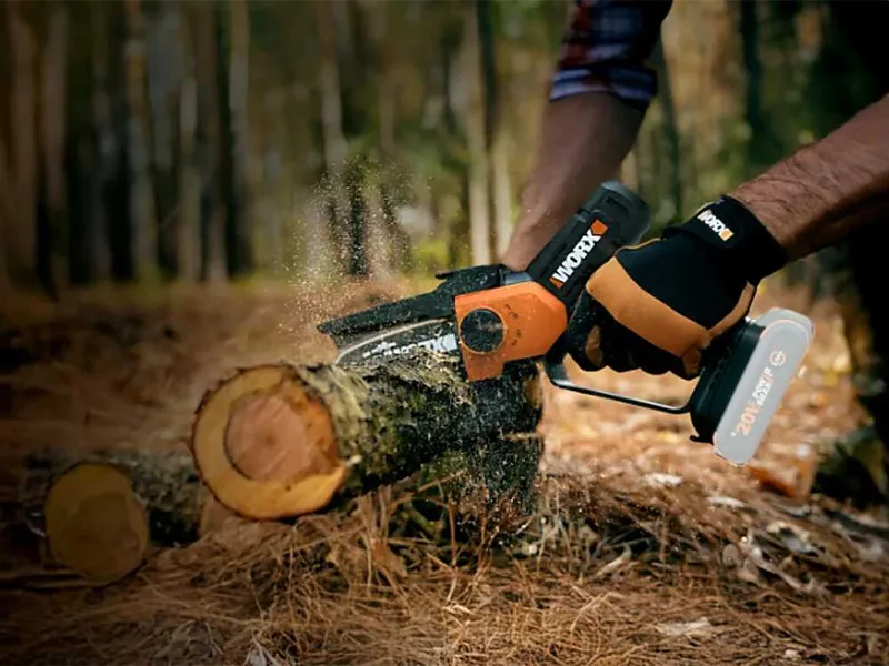 Worx WG326E - Élagueuse sur batterie + perche de rallonge de 125 cm - 20 V 4 Ah