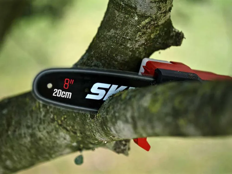 Skil 0650 CA - Élagueuse sur perche à batterie