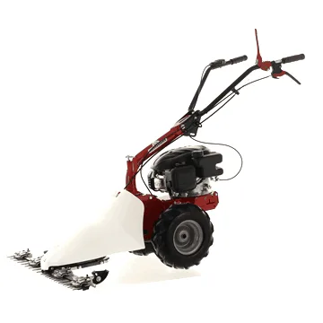 Eurosystems M210 - Motofaucheuse bilame - Loncin LC1P65FE