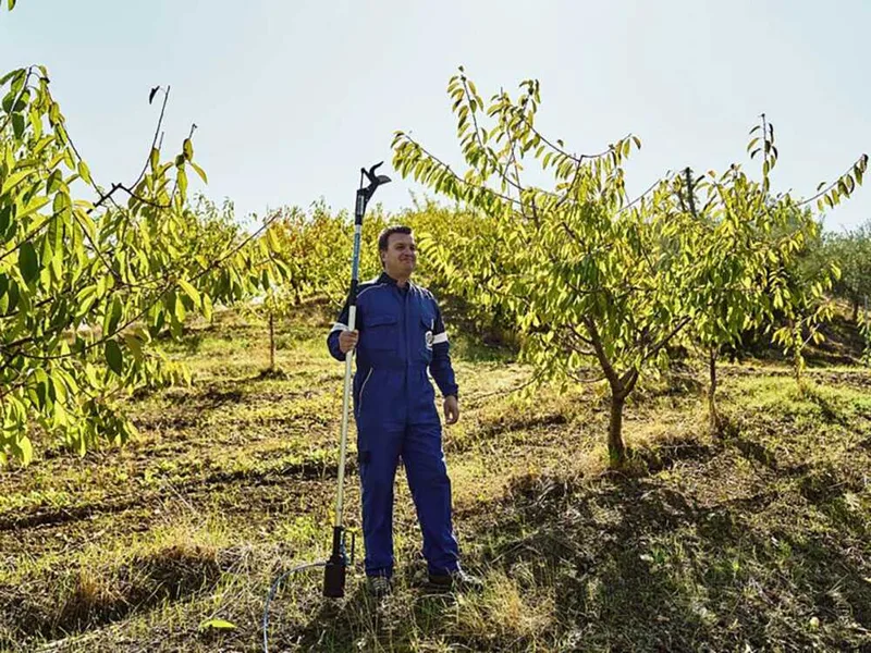 Sécateur élagueur à air comprimé à perche fixe Campagnola STAR 50 - perche 2 m