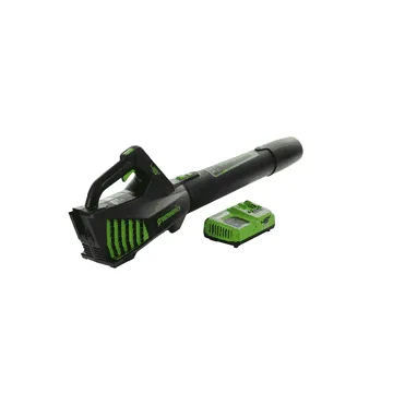 Greenworks GD48AB - Souffleur à batterie axial - 48 V / 4 Ah