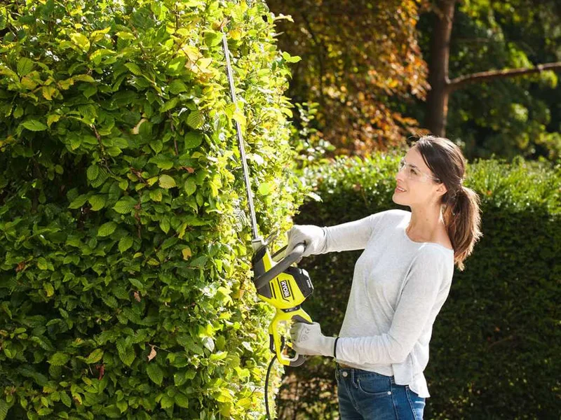 Ryobi RHT5655RS - Taille-haie électrique avec lame de 55 cm - 550W