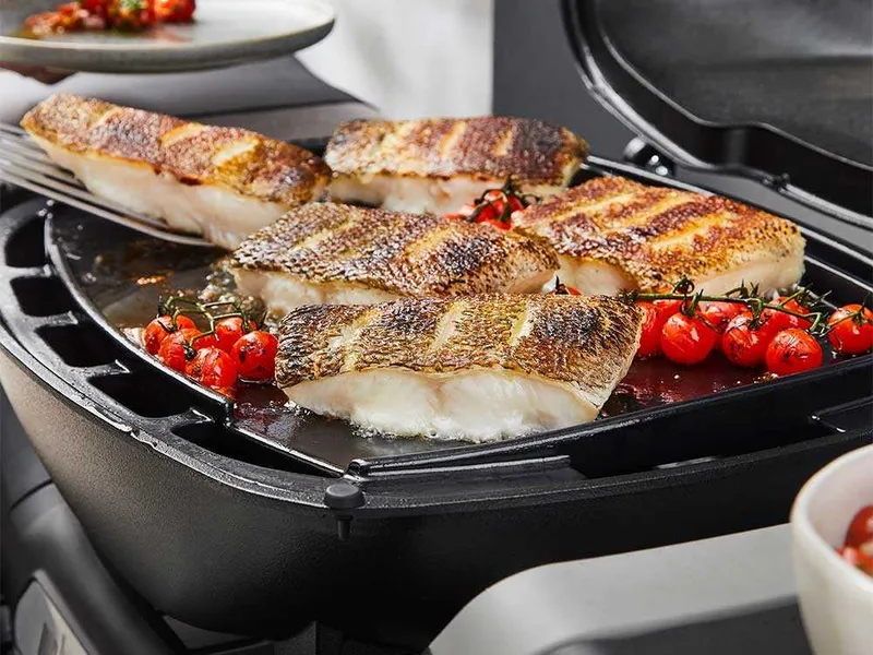 Plaque en fonte émaillée Weber - Pour barbecue Q1100N et Q1200N