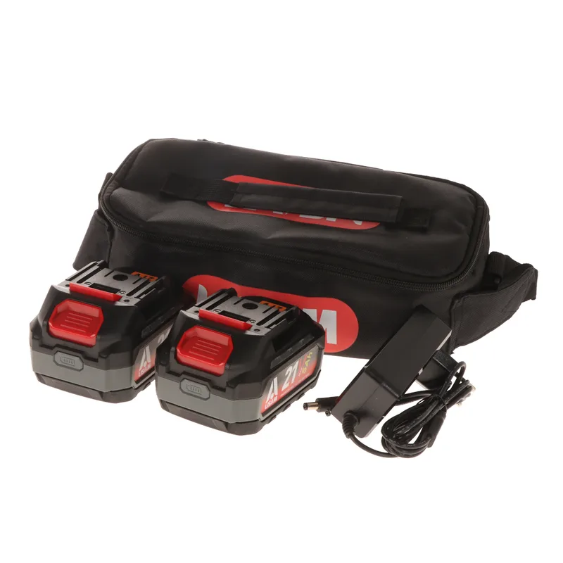 Lisam A1912 - Kit d’alimentation pour outils électriques - 2 batteries 21 V 5 Ah - Chargeur