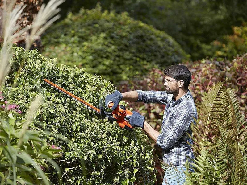 Black & Decker BEHT251-QS - Taille-haie électrique avec lamier de 50 cm - 450W