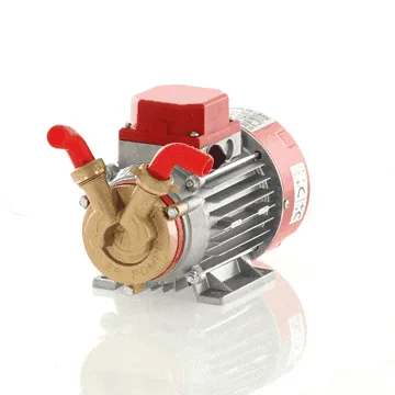 Rover Marina 20 - Pompe électrique de transfert en bronze - 24 V