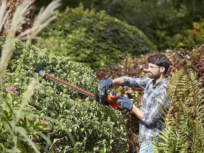 Black & Decker BETHS301-QS - Taille-haie électrique avec lamier de 50 cm - 500W
