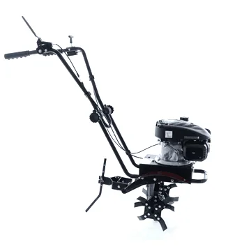 Benassi BL 20 - Motobineuse à essence 4,5 CV - Moteur Loncin LC1P65FE