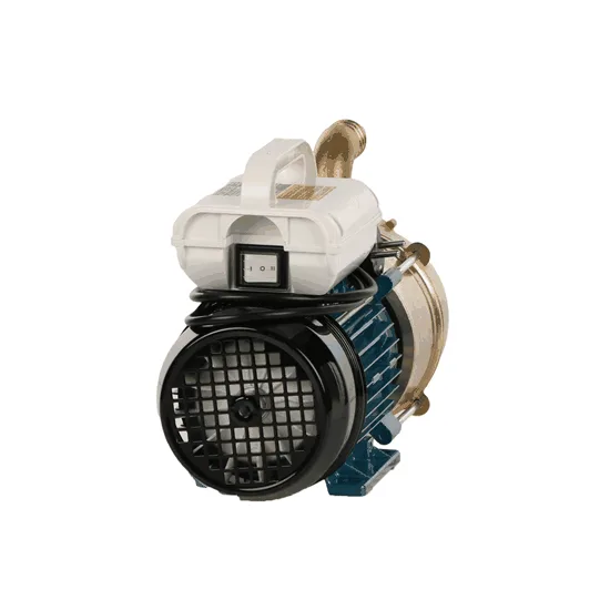Tellarini EEM 30 - Pompe électrique de transfert en laiton - Monophasé - 230V