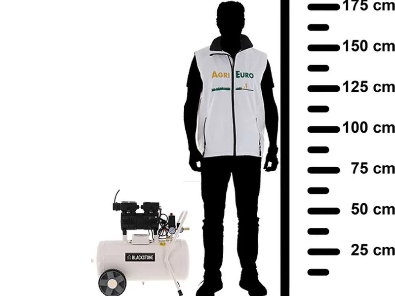 BlackStone SBC 50-10 - Compresseur d'air électrique insonorisé