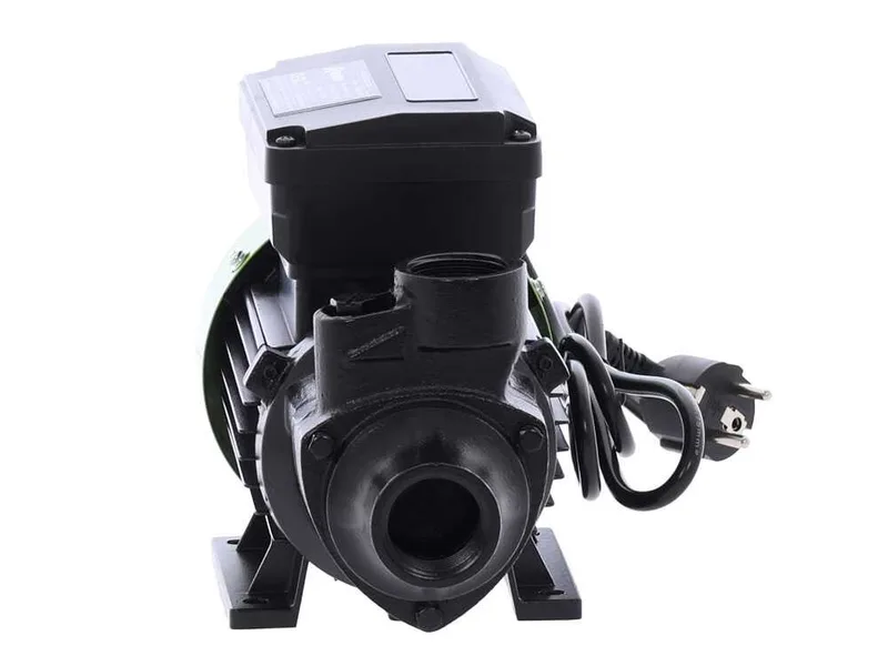 Ribimex PRKG115A - Pompe de transfert pour gasoil + kit distributeur