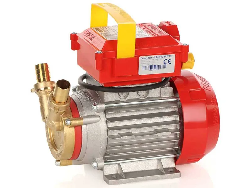 Rover BE-M 20 IP 55 - Pompe électrique de transfert en bronze avec protection IP55 - Monophasée - 230 V