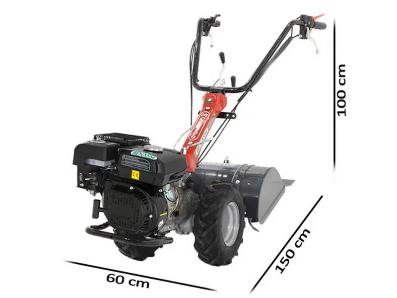 Benassi MC2300C - Motoculteur à essence - Hwasdan H170 - 5,5 CV