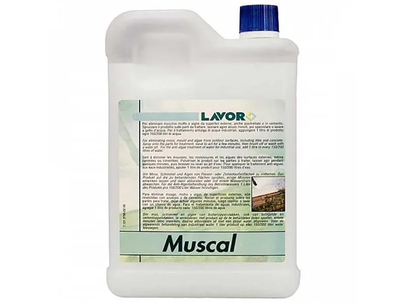 Détergent Lavor Muscal pour nettoyeur haute pression 2L