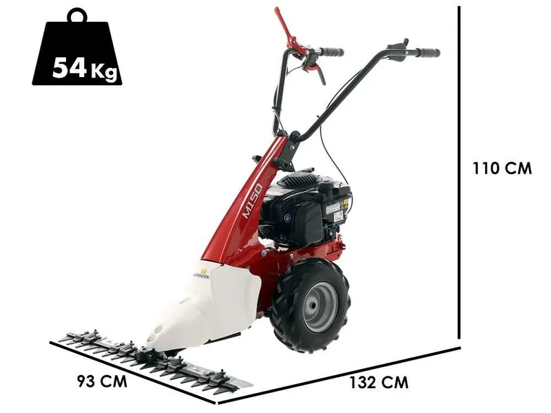 Eurosystems Minieffe M150 - Motofaucheuse multifonction - B&S 625 EXi