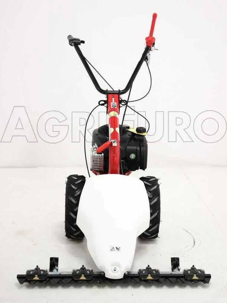 Eurosystems M210 - Motofaucheuse bilame - B&S 450E