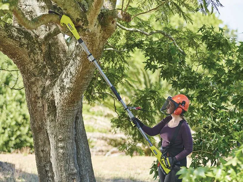 Ryobi RY18PP20A-0 - Élagueuse à batterie sur perche télescopique - Guide 20 cm - 18 V/4 Ah