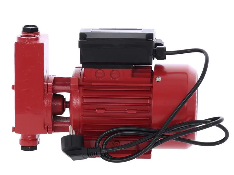Ribimex PRKG130 - Pompe de transfert pour gasoil + kit distributeur