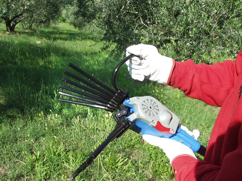 Peigne vibreur électrique à batterie Lisam Oliwatt 2 - Avec dents en Nylon - 280 cm - Perche Fixe