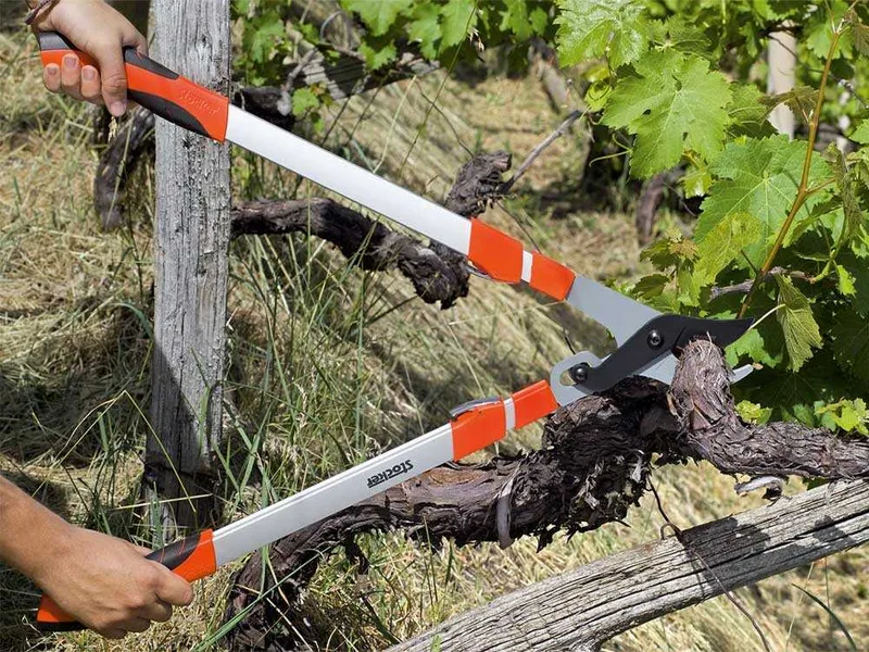 Stocker 2094 - Coupe-branches télescopique by-pass - Longueur de 75 à 100 cm