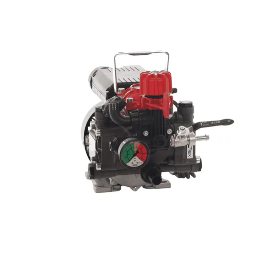 Annovi Reverberi AR 252 EM - Motopompe électrique pour pulvérisation