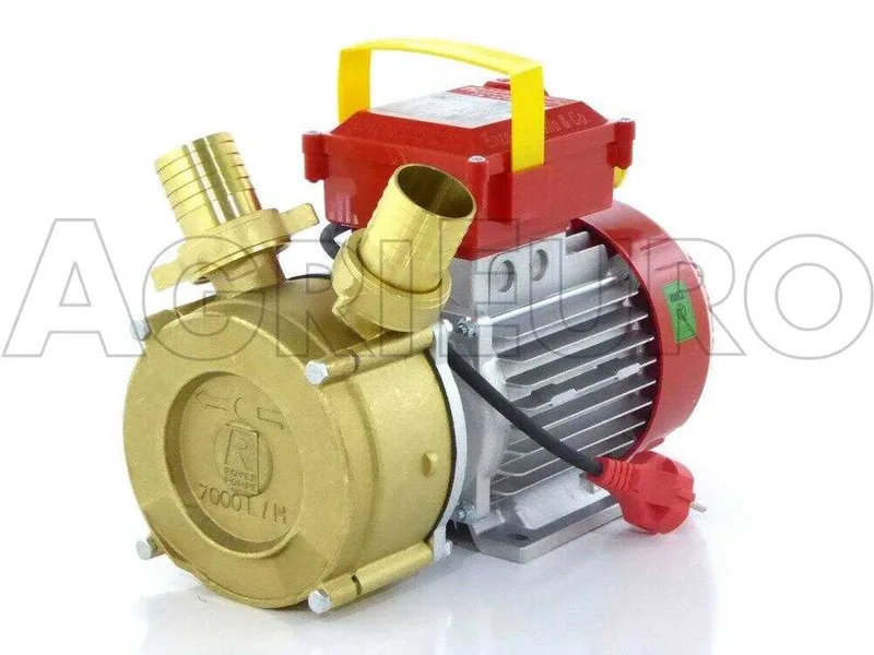 Rover BE-M 40 - Pompe électrique de transfert en bronze - Monophasée - 230V