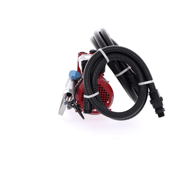 Ribimex PRKG130 - Pompe de transfert pour gasoil + kit distributeur