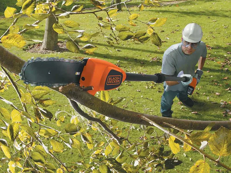Black & Decker GPC1820LB-QW - Élagueuse à batterie sur perche