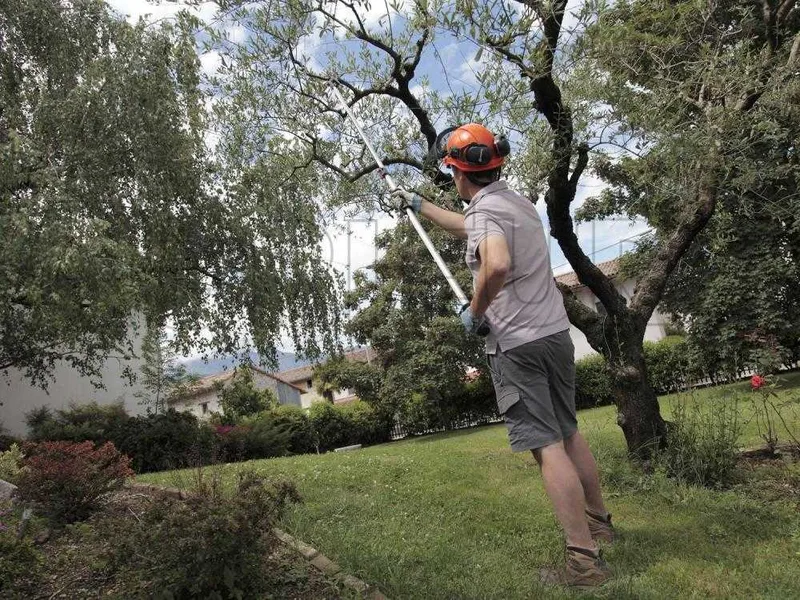 Archman Helium MT.2 - Coupe-branches télescopique professionnel - perche de 170/270 cm - Ø 35 mm