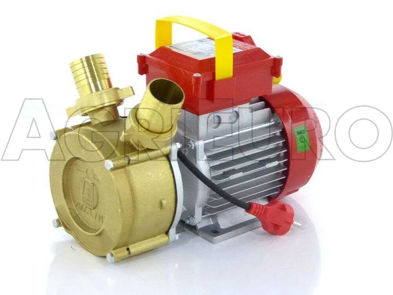 Rover BE-M 40 - Pompe électrique de transfert en bronze - Monophasée - 230V