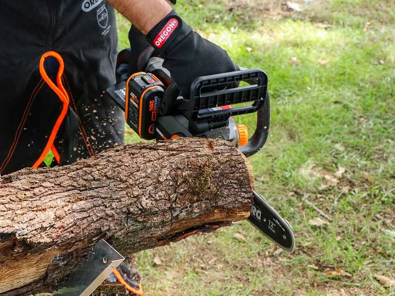 Worx Nitro WG350E.9 - Tronçonneuse à batterie 20 V