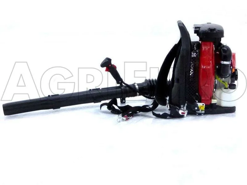 GeoTech Pro BBP 800 - Souffleur thermique à dos avec moteur 2 temps