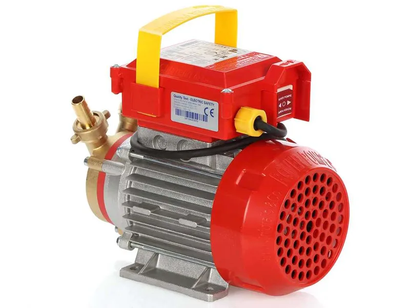 Rover BE-M 14 OIL - Pompe électrique de transfert pour huile en bronze - Monophasée - 230V