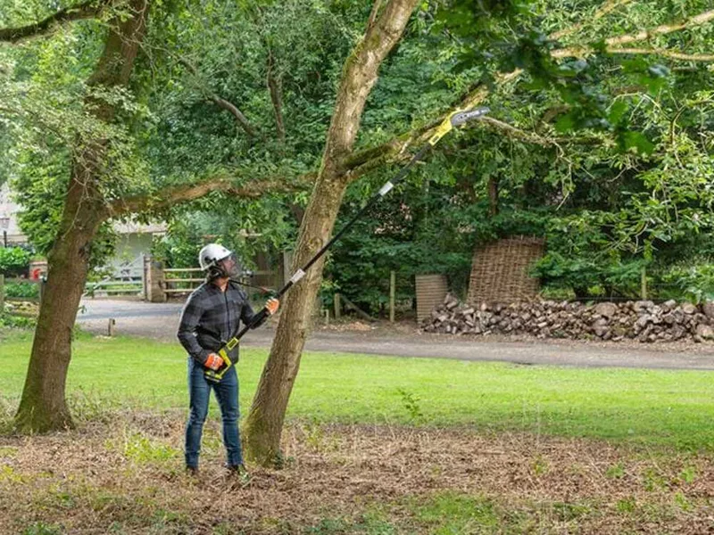 Ryobi RPP182020 - Élagueuse à batterie sur perche télescopique - Barre de 20 cm - 18V 2Ah