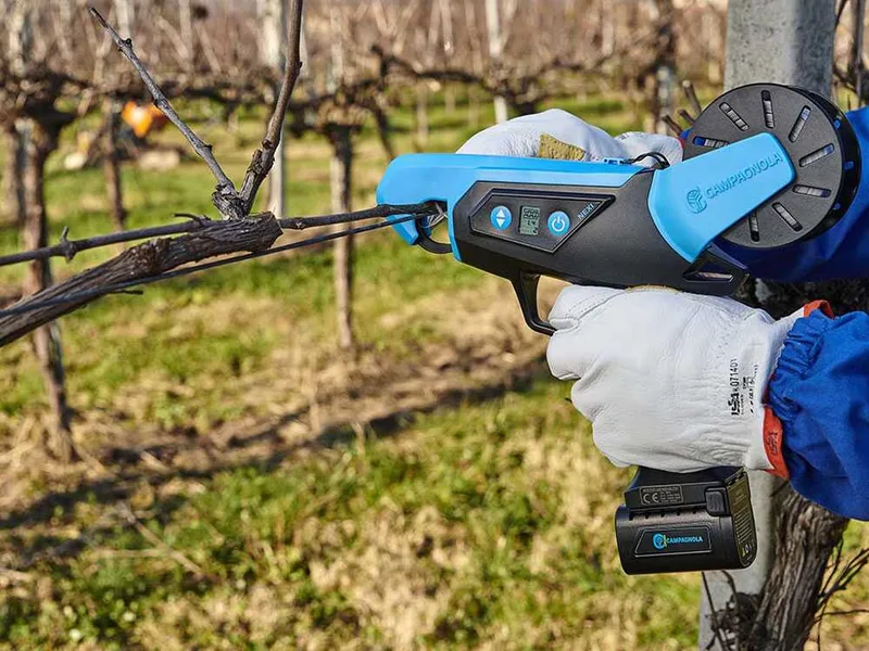 Lieuse pour vigne électrique à batterie Campagnola NEXI - 2 Batteries de 14,4 V - 2,5 Ah