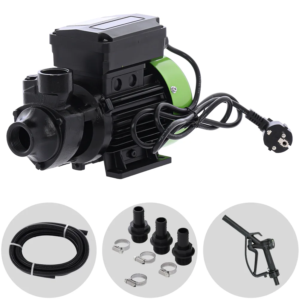Ribimex PRKG115A - Pompe de transfert pour gasoil + kit distributeur