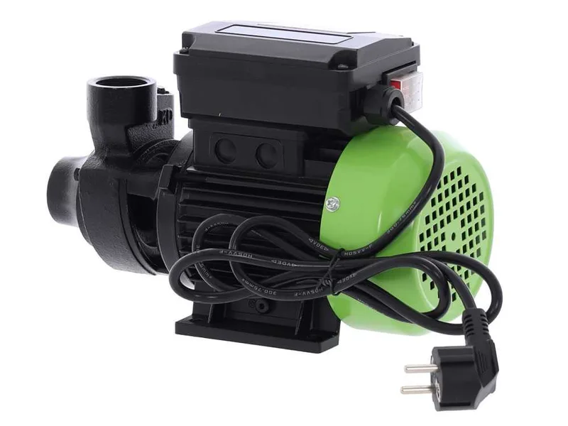 Ribimex PRKG115A - Pompe de transfert pour gasoil + kit distributeur