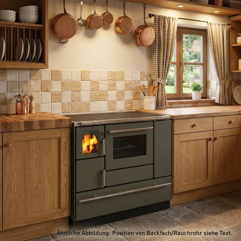 Wamsler K 138 F Cuisinière à bois à gauche cachemire mat avec plaque vitrocéramique