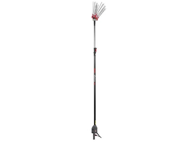 Lisam Swing 36V - Peigne vibreur Électrique à batterie - Avec 8 + 8 dents en carbone - Perche télescopique - 220-300 cm