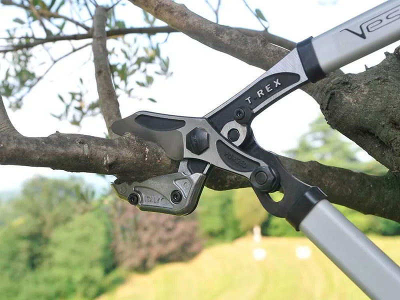 Vesco t-rex T10 - Coupe-branches à enclume droite - Longueur 80 cm