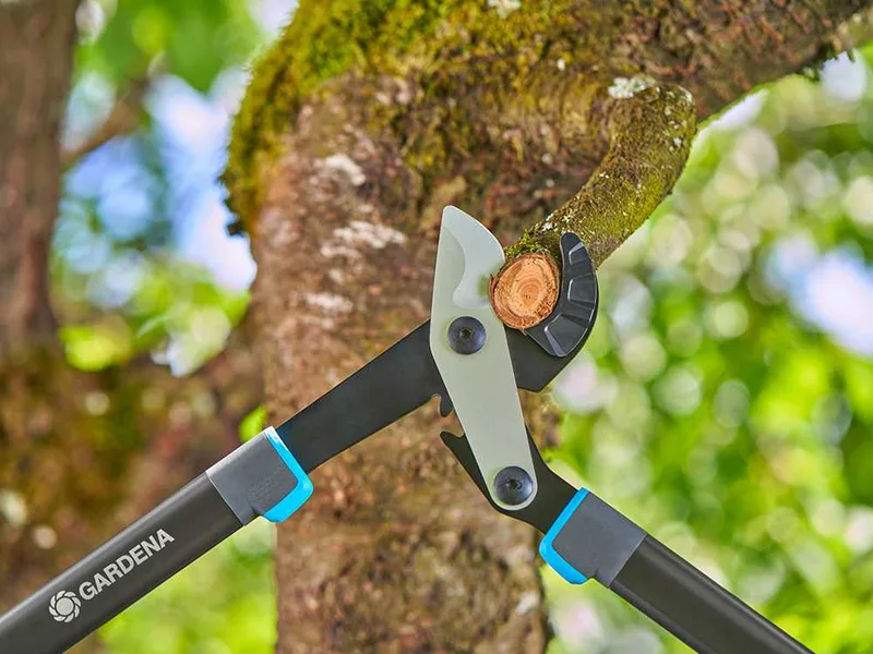 Gardena EnergyCut Pro L - Coupe-branches à enclume - Longueur 75cm