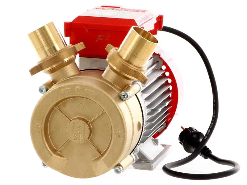 Rover BE-M 50 - Pompe électrique de transfert en bronze - Monophasée - 230 V