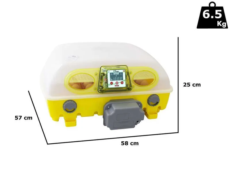 River Systems et 49 super biomaster - Couveuse à œufs automatique - 49 œufs
