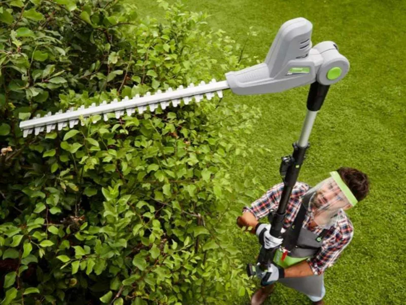 Verdemax TT20 - Taille-haie sur perche électrique orientable à batterie 20V/2Ah