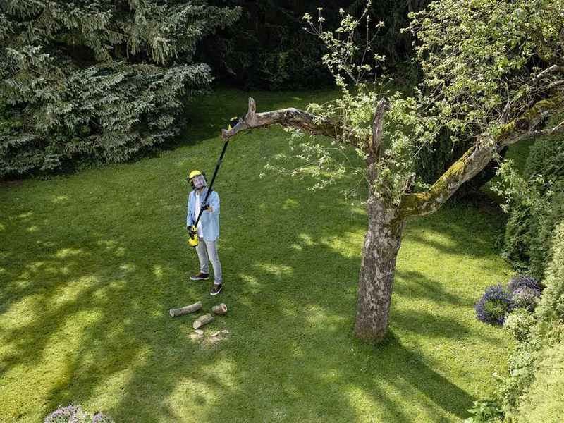 Karcher PSW 18-20 - Élagueuse à batterie avec perche télescopique