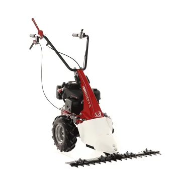 Eurosystem Minieffe - Motofaucheuse multifonction - Loncin L200 OHV