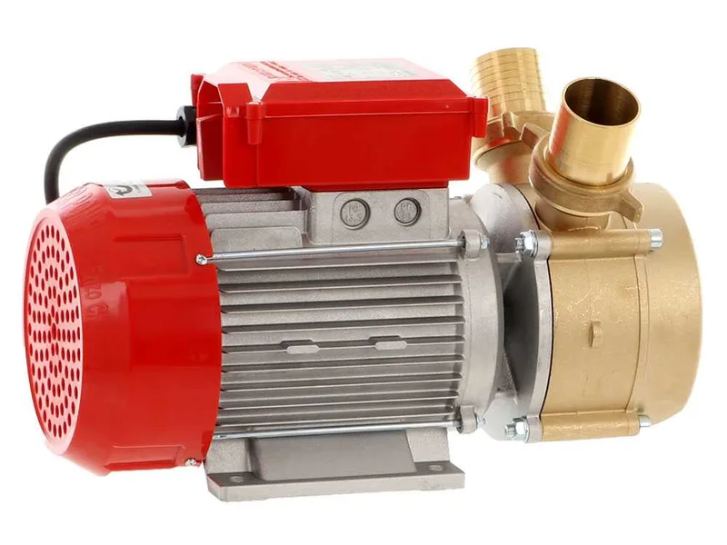 Rover BE-M 50 - Pompe électrique de transfert en bronze - Monophasée - 230 V
