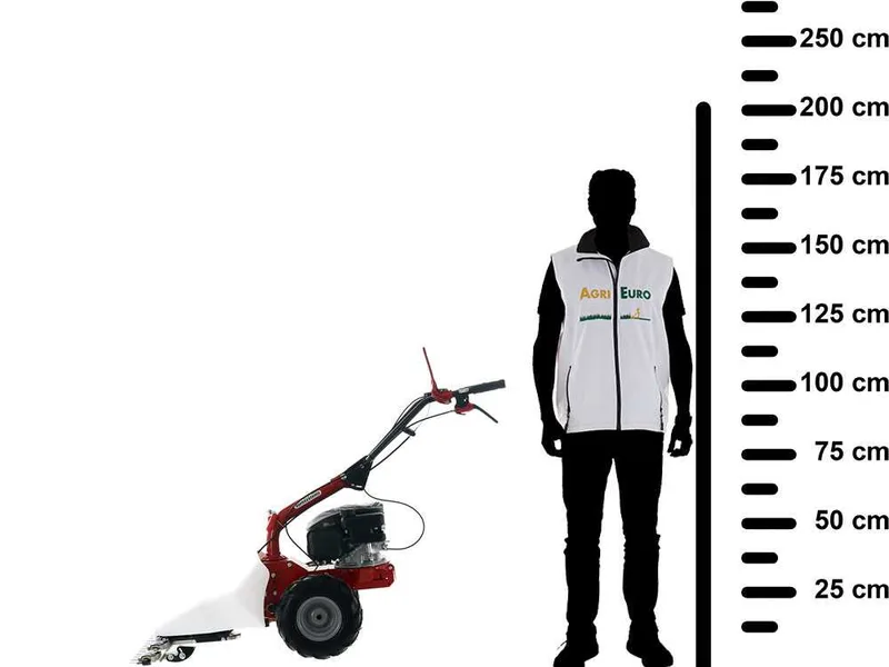 Eurosystems M210 - Motofaucheuse bilame - Loncin LC1P65FE
