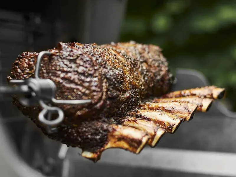Tourne-broche électrique pour Barbecue Weber Spirit