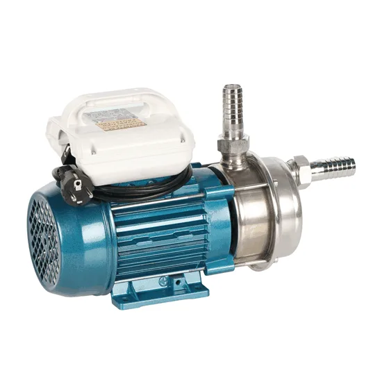 Tellarini ALM 25 - Pompe électrique de transfert pour huile en acier inoxydable - Raccord droits en acier inoxydable - Monophasée - 230V - Choisissez vos raccords